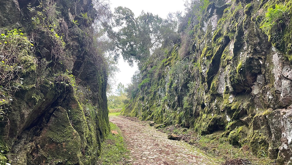 Swapping the suburbs for easy access to walks and trails