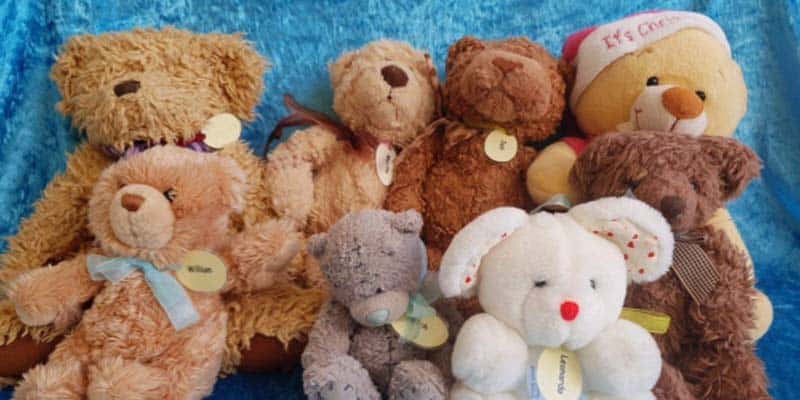Help the homeless this Christmas - adopt a cuddly toy
