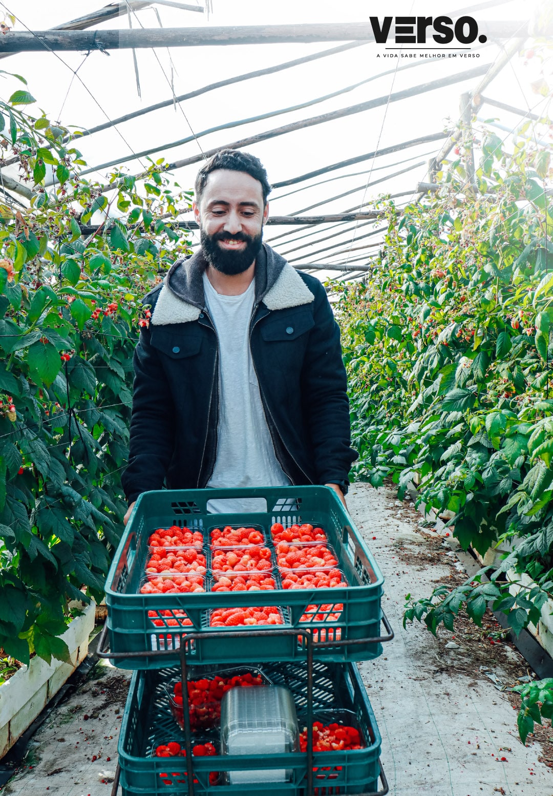 Verso: the Algarve’s new cocktails in a can