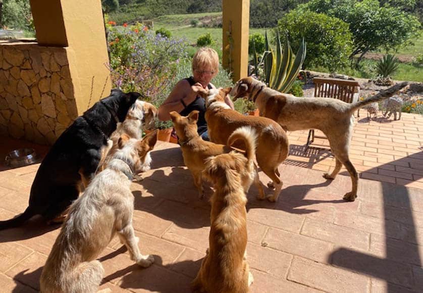 Time for a treat (Anita and her seven abandonees)|Jenny at Jollys (recent ‘Pop-Up’)
