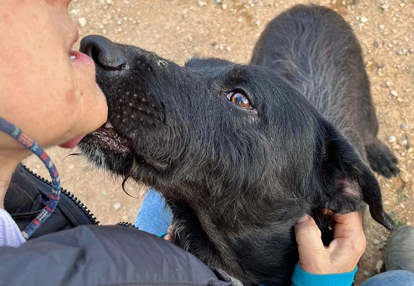 €3,000 raised as Tiny Shelter donation drive continues