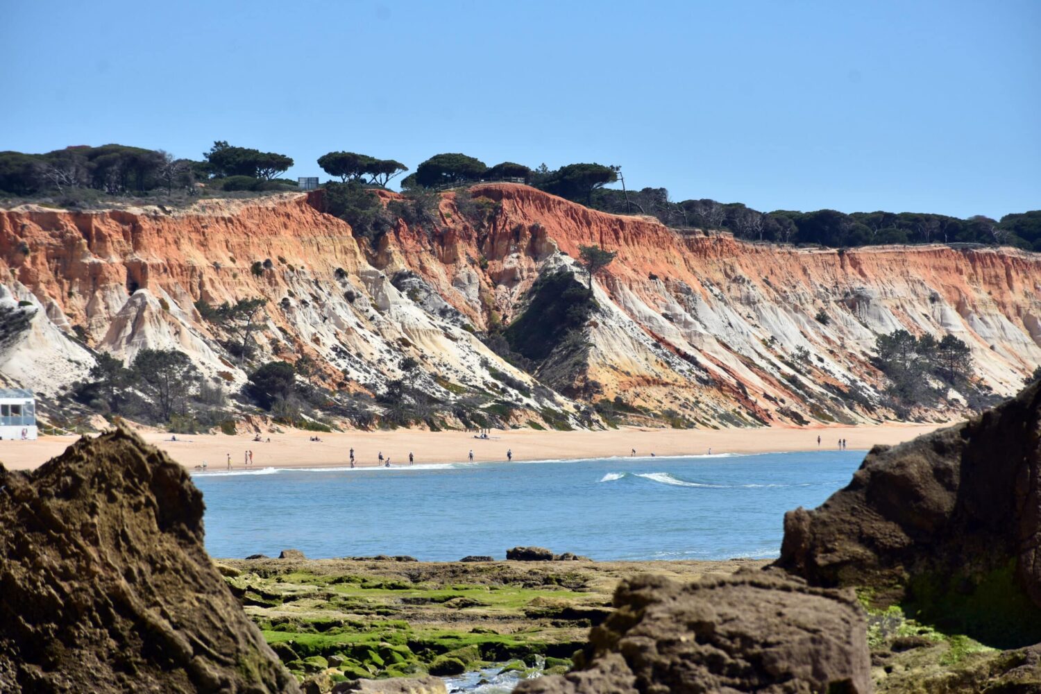 Falésia beach, Albufeira - Photo: BRUNO FILIPE PIRES/OPEN MEDIA GROUP|Helder-Martins-860x484|Praia de Carvoeiro (by Inês Lopes) 6