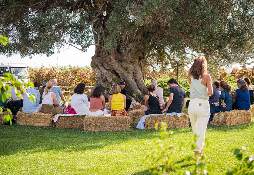 Under the ancient olive tree