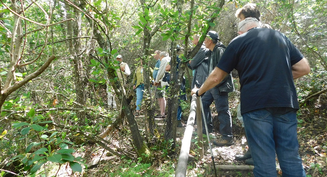 Under the tree canopy|Bee orchid Ophrys apifera|Chanterelle mushroom|Climbers|Epipactis tremolsii|Leaf mould|Monchique oak|Our hosts Udo Schwarzer, Jack Golds and Claudia Schwarzer|Rotting eucalyptus stump|Route through the woodland|Shady walk|Wild bee home