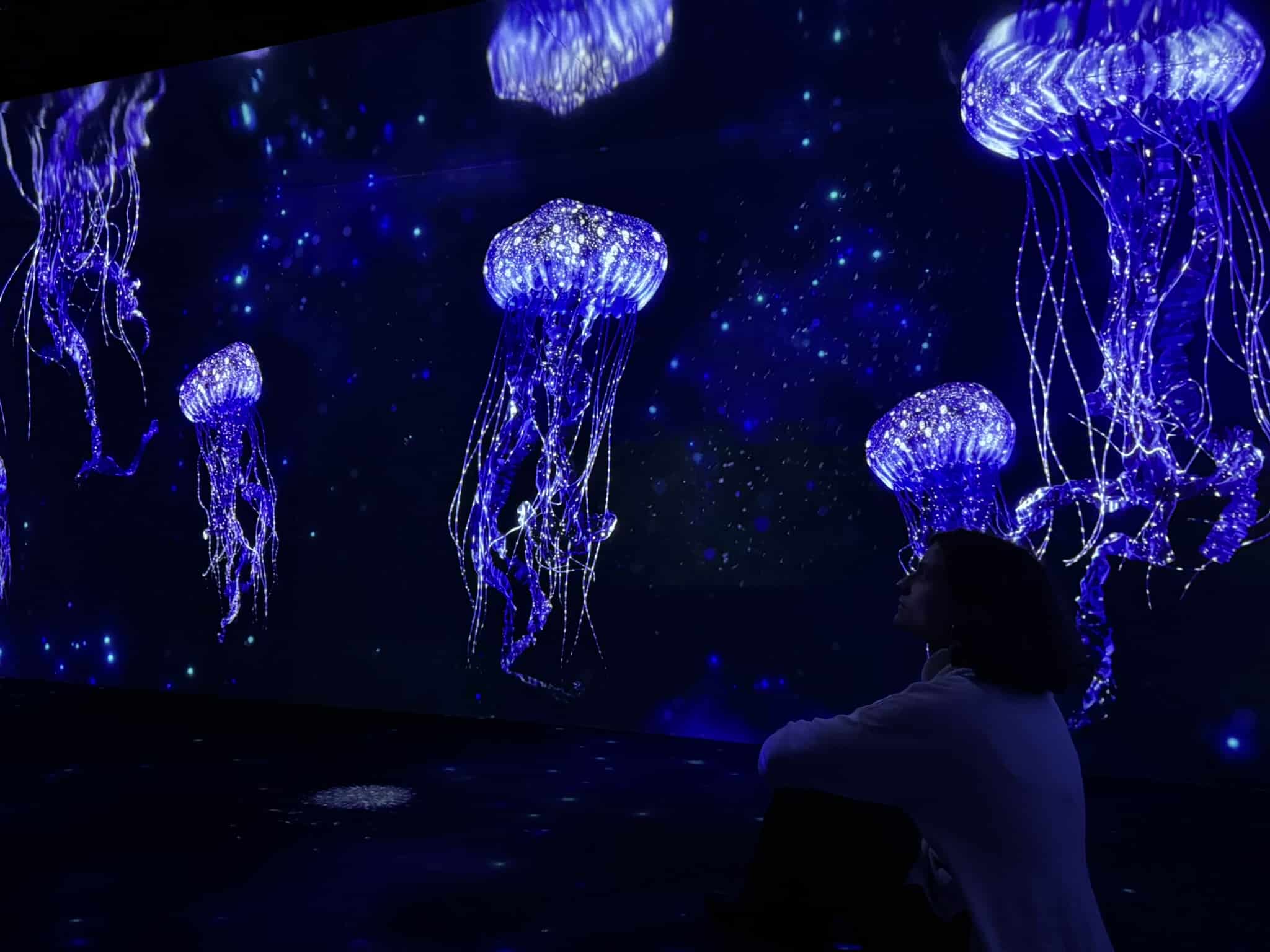 «Submerged Universe» revealed at Lisbon Oceanarium