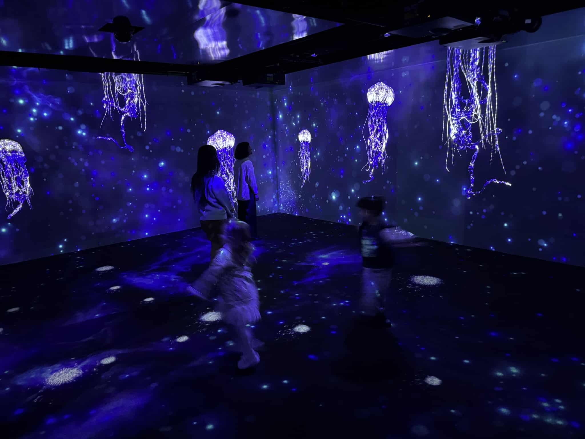 «Submerged Universe» revealed at Lisbon Oceanarium