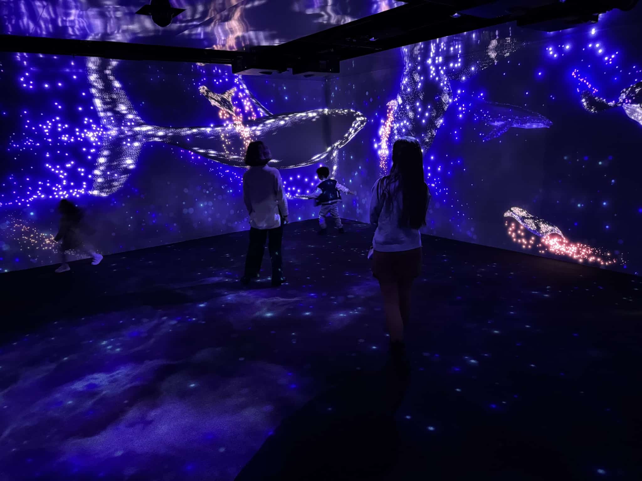 «Submerged Universe» revealed at Lisbon Oceanarium|«Submerged Universe» revealed at Lisbon Oceanarium|«Submerged Universe» revealed at Lisbon Oceanarium
