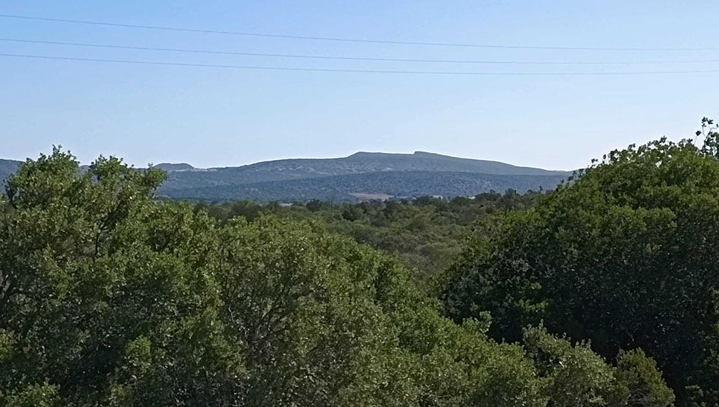 Part of the landscape which residents say will be destroyed if project moves forward|Mapa_Central-Fotovoltaica-_-Urb-Larga-Vista-1-scaled|A colony of pink orchids, the kind of wildlife that residents are campaigning to protect