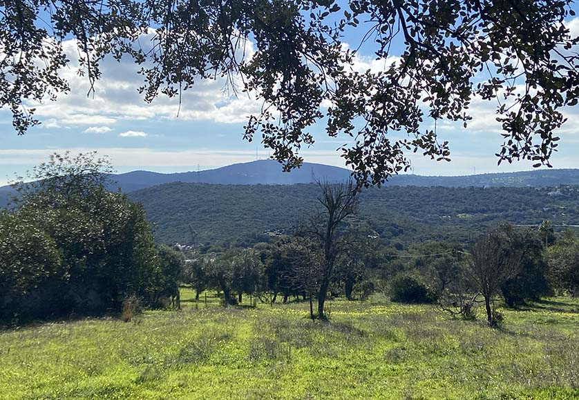 View from the top of the climb|An abandoned 'nora'|Between the houses|Fields near the end of the walk|Trail near the start of the walk