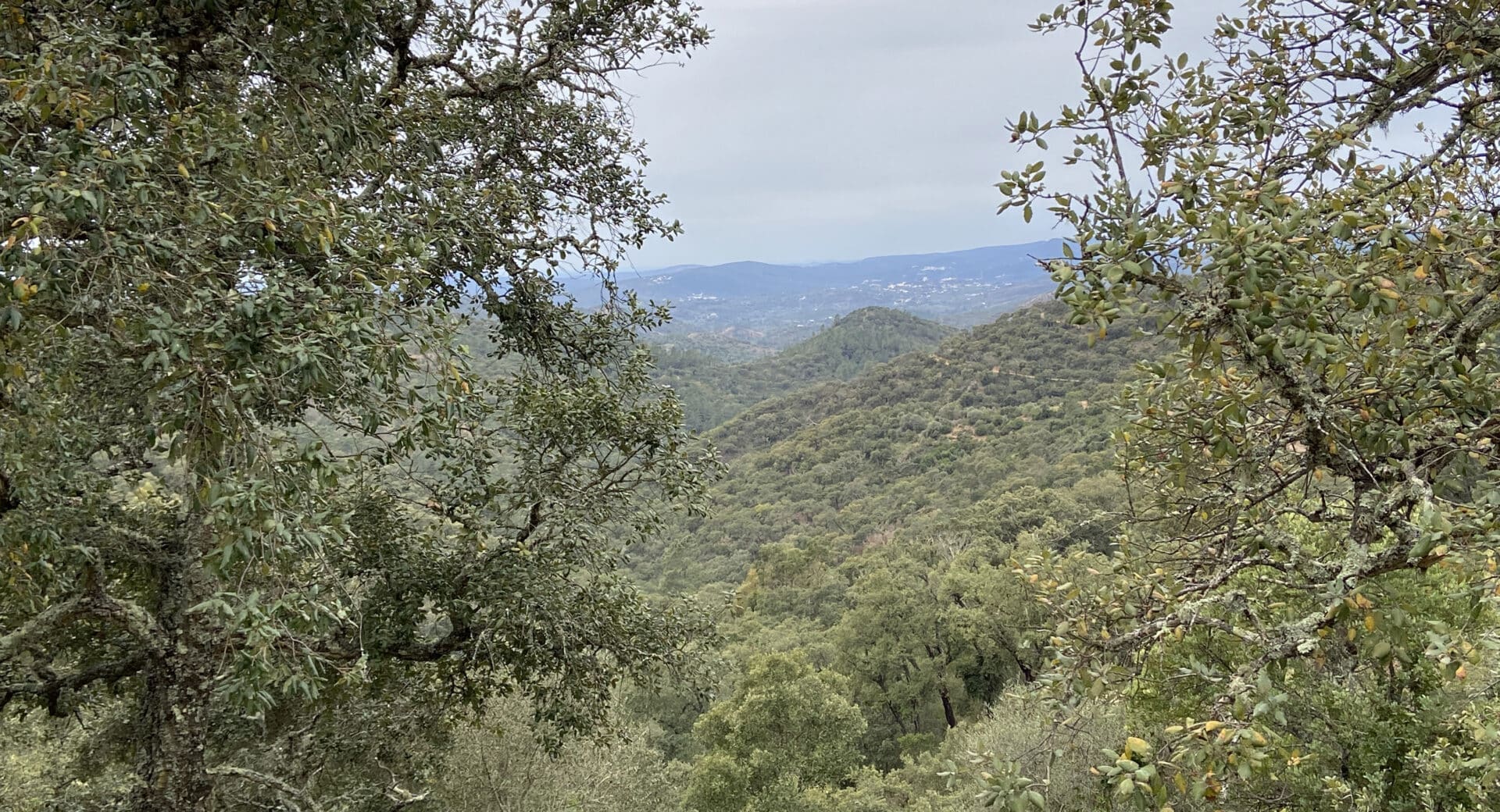 Walking at Barranco do Velho