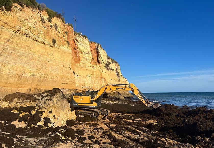 Carvoeiro algae|Will Carvoeiro algae wash away in time for Black & White party?|Will Carvoeiro algae wash away in time for Black & White party?|Will Carvoeiro algae wash away in time for Black & White party?