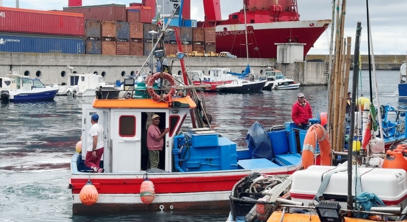 Government eases rules on number of non-national crewmembers allowed on fishing boats