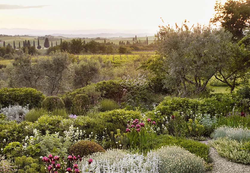 Wild garden|Garden Before regeneration|Garden After regeneration|Dry garden|Wildlife friendly garden