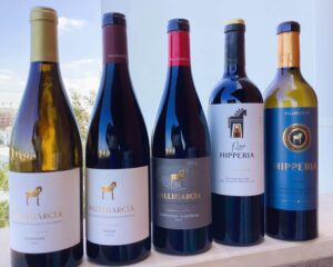 One of Spain’s best wineries visits Algarve