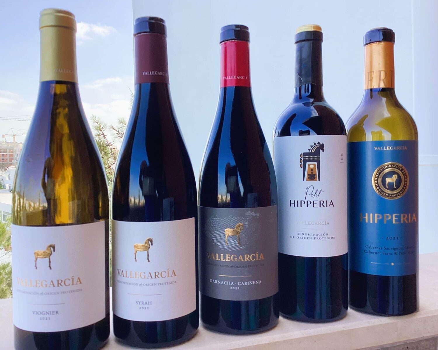 The Vallegarcía line-up of quality wines|Nigel Adams (the event organizer), Alicia Marzoa, Fernando Silva (Vallegarcía’s distributor for Portugal), and Larry Hampton.|Derek Lambert, Michael Mellick, Tony and Mary Bondi, David Hart and Sandie Skevington enjoying the post-tasting dinner