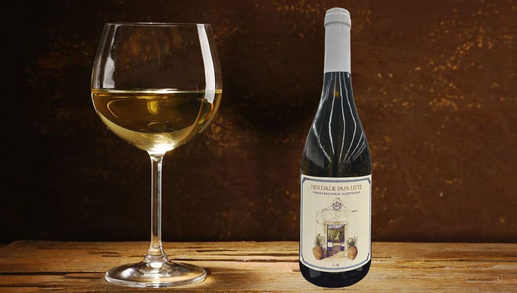 Goblet of white wine on wooden table on wooden wall background. Fotalia