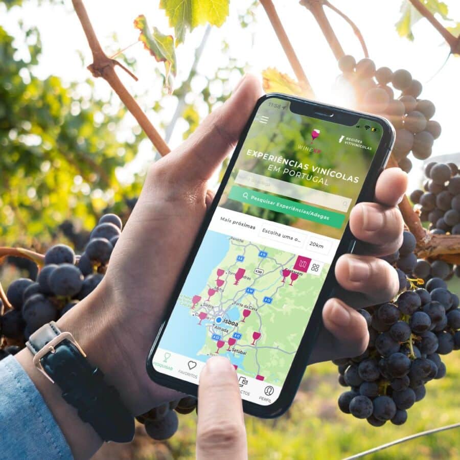 WineXP_App|Herdade do Mouchão