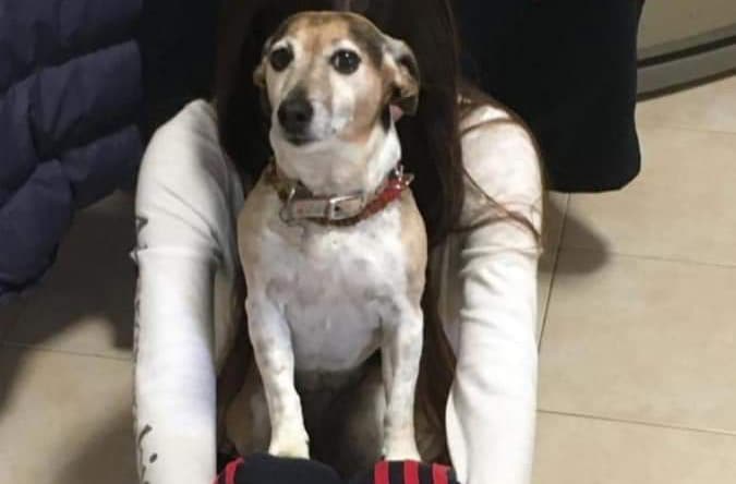 Pet corner: Talk the talk, walk the walk