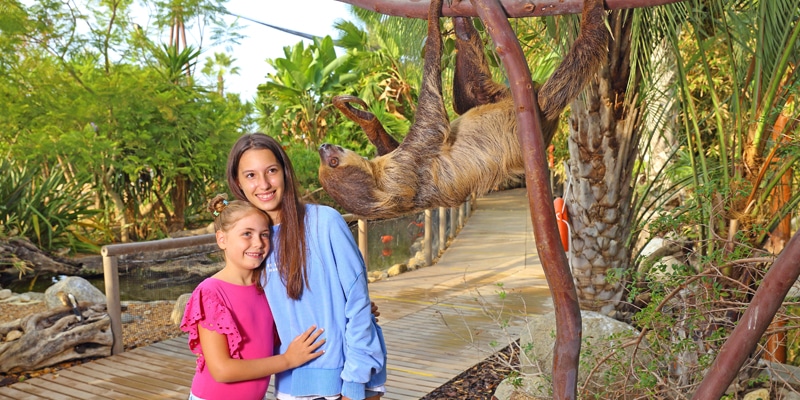 Two girls looking at one of the sloths at Zoomarine