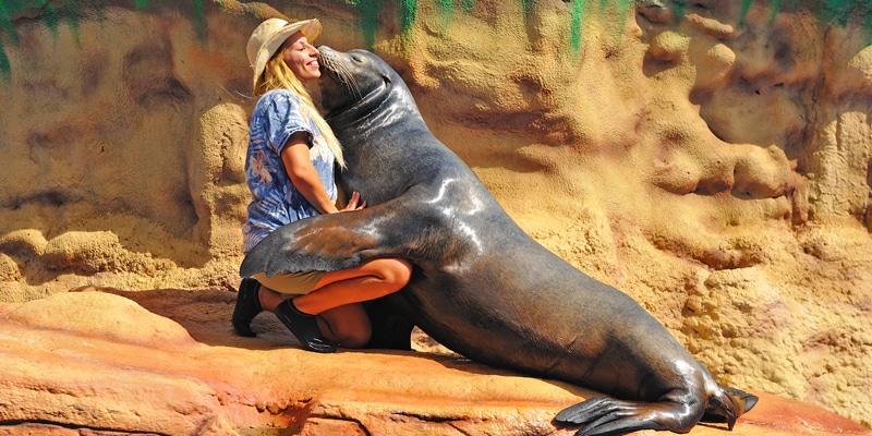A seal giving a kiss to one of its trainers at Zoomarine