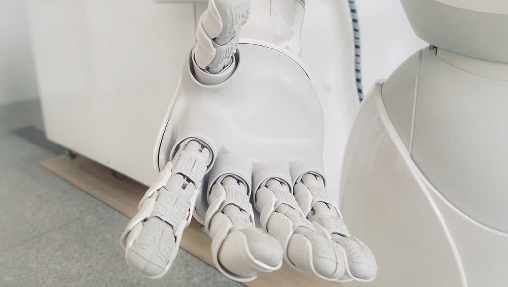 ai-wine-relation-quinta-dos-vales-algarve|ai-algarve-wine-quinta-dos-vales|ai-wine-quinta-dos-vales-algarve|algarve- quinta-dos-vales-accommodation-tours