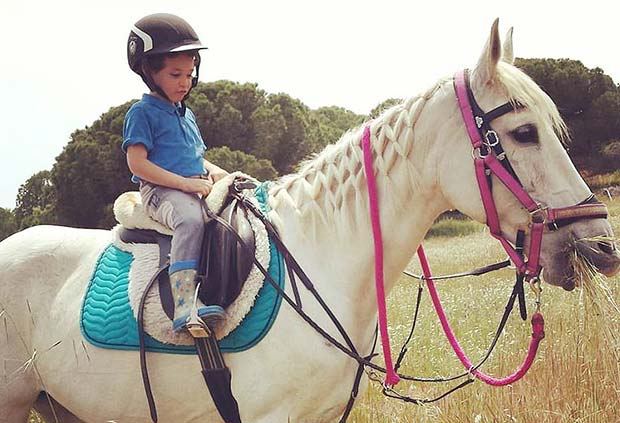 albufeira-riding-centre.jpg