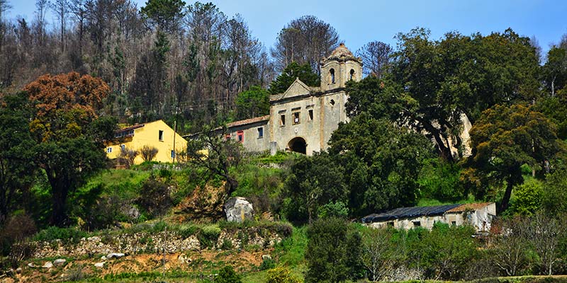 New guided tours explore Monchique’s secrets and gastronomy
