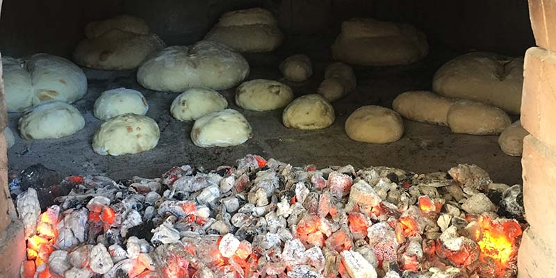 New guided tours explore Monchique’s secrets and gastronomy