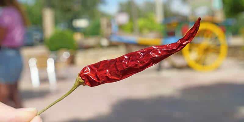 Things are heating up in the Algarve