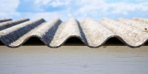 Asbestos angst: parents take fight to Brussels as Quercus stresses “it is 50 times cheaper to remove asbestos from schools than treat diseases it provokes”