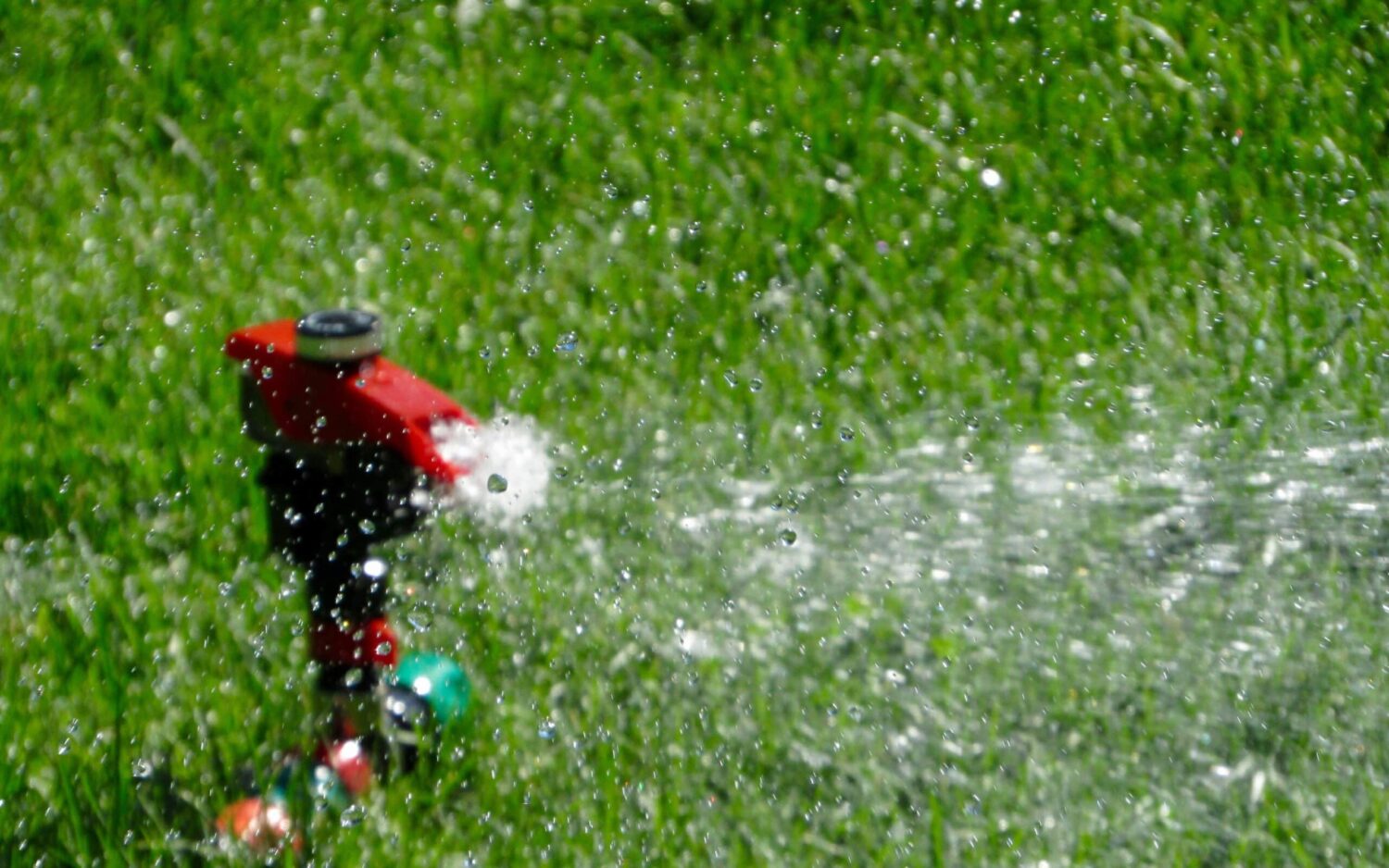sprinklers|This-Sprinkler-is-too-high-and-a-lawn-mower-will-hit-it