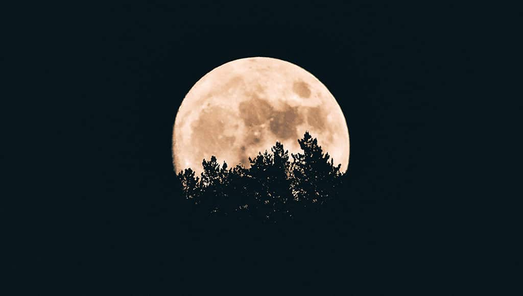 Full moon