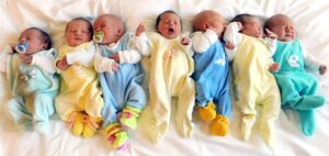 Babies galore! “There haven’t been this many babies for 13 years”