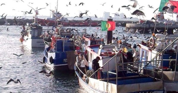 Fishing boats