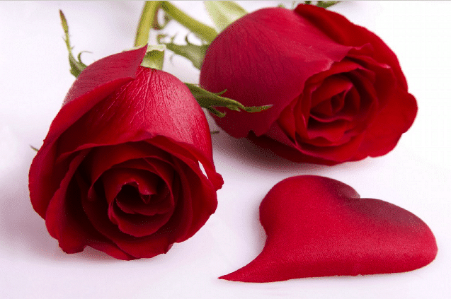 bestvalentinesdaysms.png