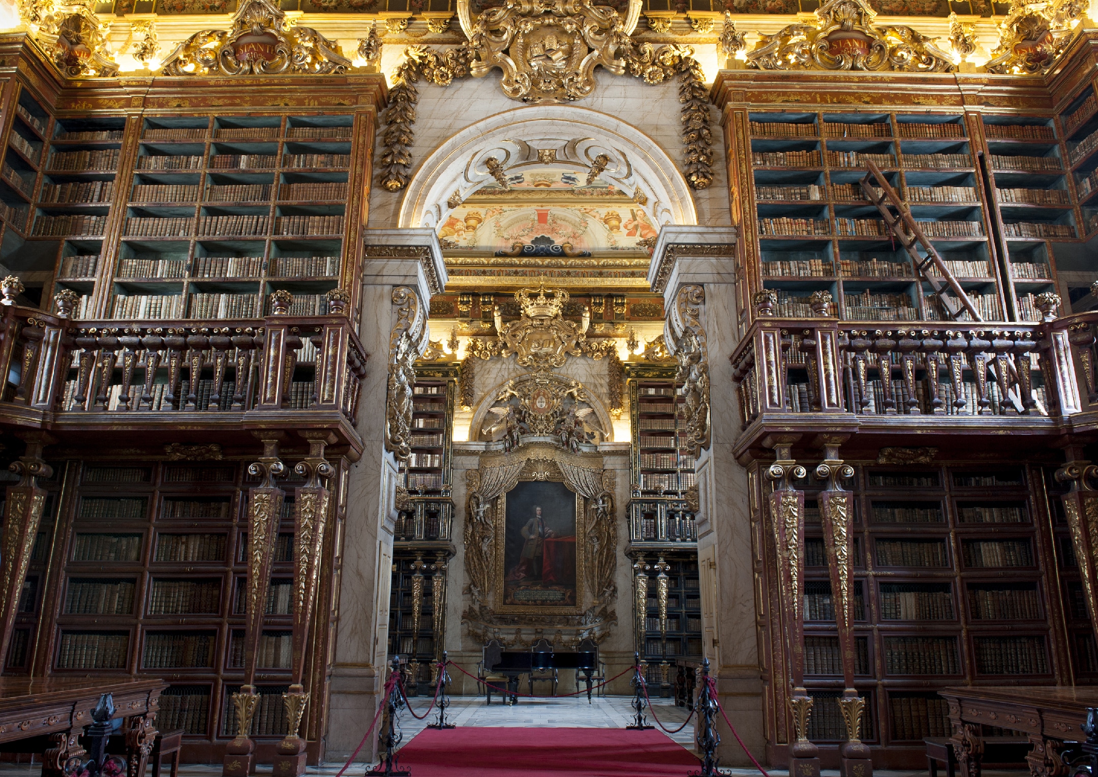 biblioteca joanina