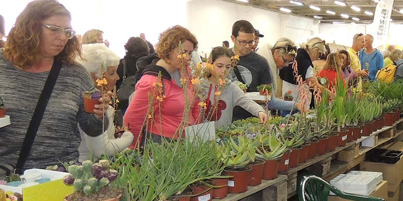 Cacti Bench|Fruit trees for sale|Hall view|Orchid display