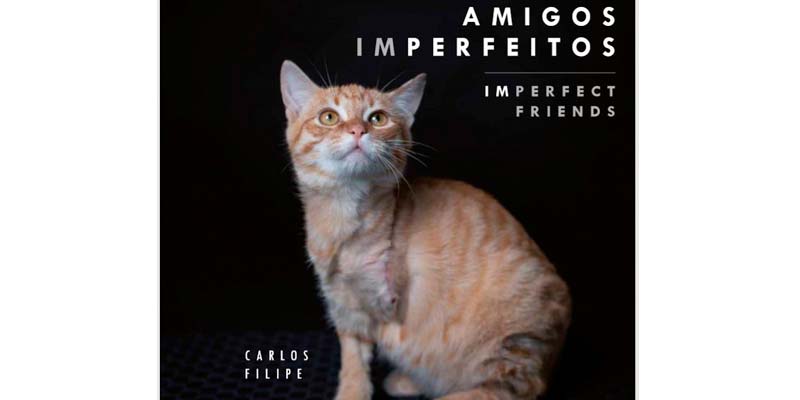 New book tells story of Algarve’s disabled animals