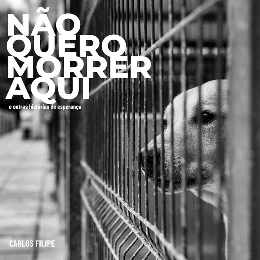 cover of book não quero morrer aqui