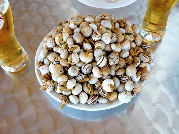 caracois.jpg