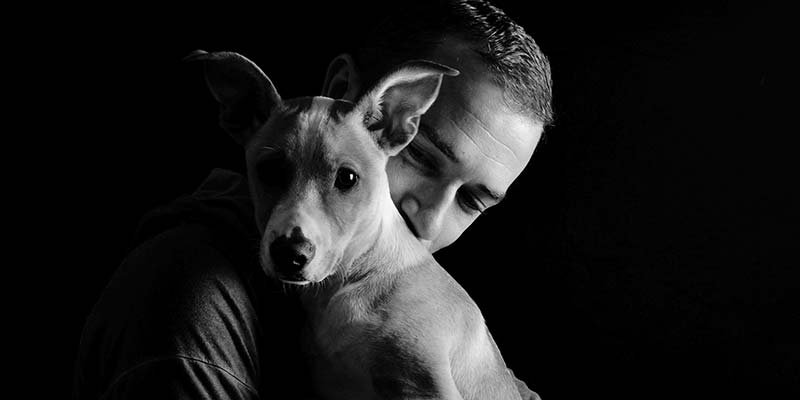 New book tells story of Algarve’s disabled animals