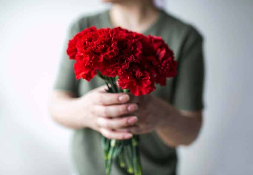 carnations