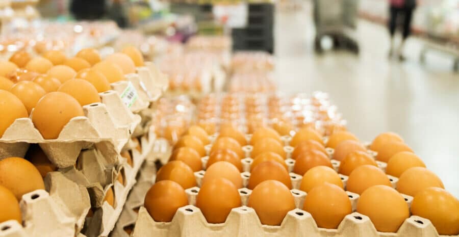 Boxes of eggs