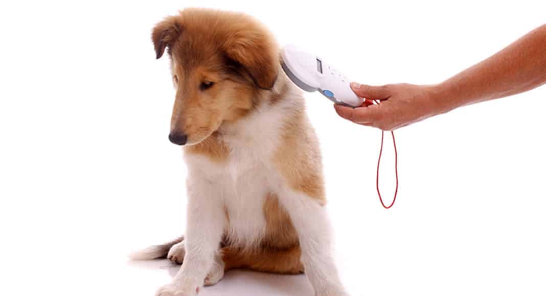 Faro to donate microchip scanners to local police forces