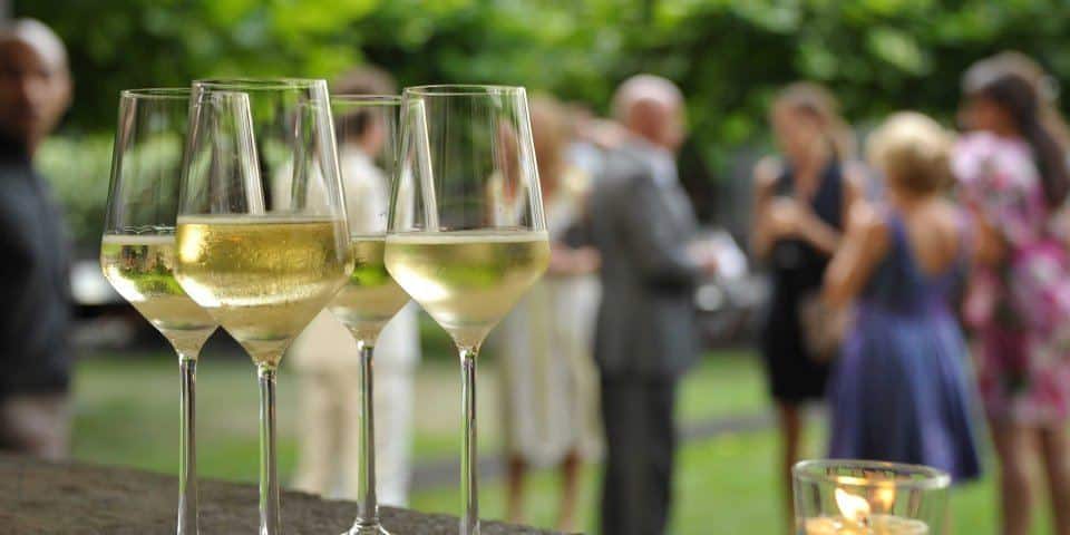 cocktail-party-garden-party-wine.jpg