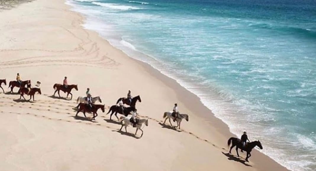 Amorim Luxury and Vanguard separate assets