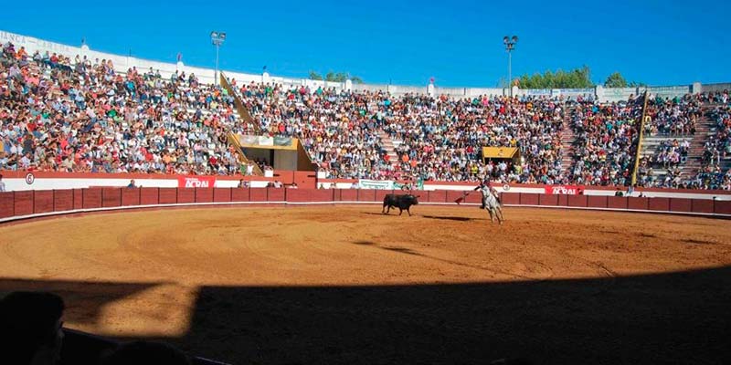 Bullfight in Coruche “turns into a horror film”