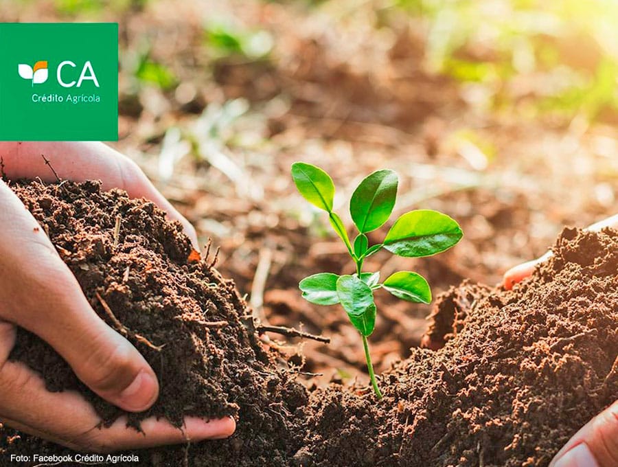 credito-agricola-quer-afirmar-se-como-referencia-de-inclusao-e-sustentabilidade