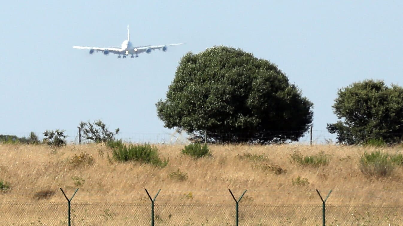 Image from 2018 showing airbus 380 landing at Beja's little used airport. Image: Nuno Veiga/ Lusa|A black tailed godwit. Photo: Rod Baker