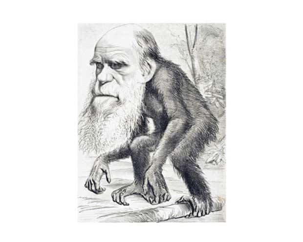 darwin-cartoon.jpg